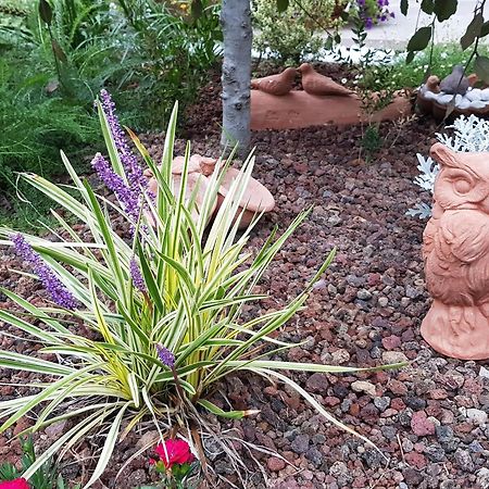 Nel Giardino Di Dafne Villa Стреза Екстериор снимка